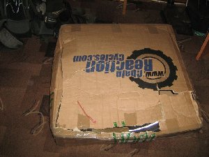 IMG_0375.jpg