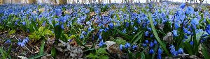DSC02172-Панорама.jpg