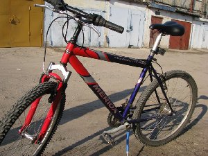 IMG_1133.JPG