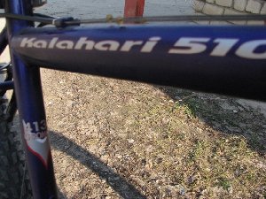 IMG_1135.JPG