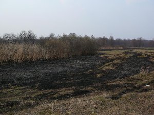 pogar7.jpg