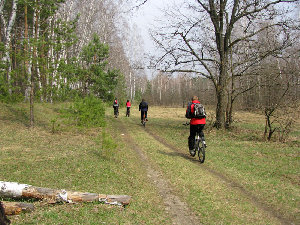 f2071360.jpg