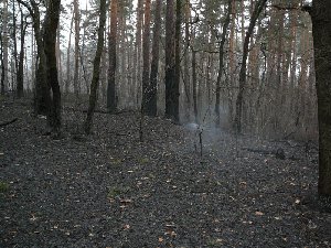 pogar22.jpg