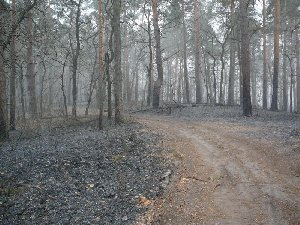 pogar23.jpg