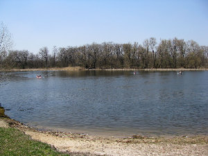 IMG_9933.jpg