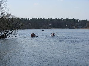IMG_9944.jpg