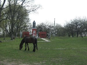 IMG_1688.1.JPG