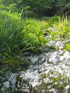 IMG_1734.1.JPG