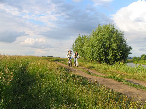 IMG_4335.jpg