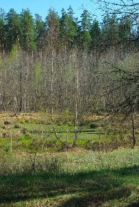 IMGP4955.JPG