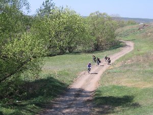 IMG_3703.JPG