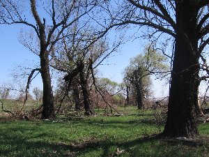 IMG_3771.JPG