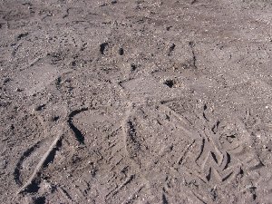 IMG_3829.JPG