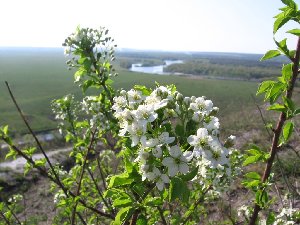 IMG_3837.JPG