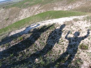 IMG_3845.JPG