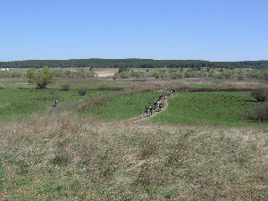 IMG_0095.jpg