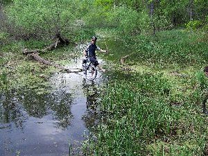 настолько привык, что переходит пританцовывая)) Опыт, его не пропьешь