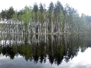 Озеро перед Маклоком