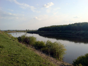 Дон