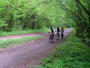 11.05.09 (29).jpg
