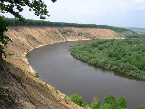 IMG_4287.jpg