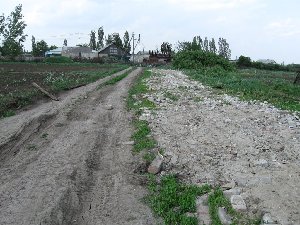 IMG_2509.JPG