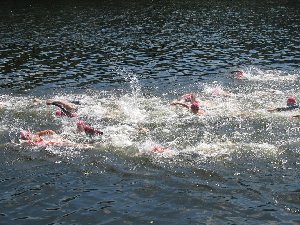 IMG_4931.JPG