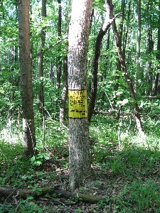 IMG_2523.JPG