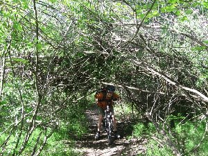 IMG_2535.JPG