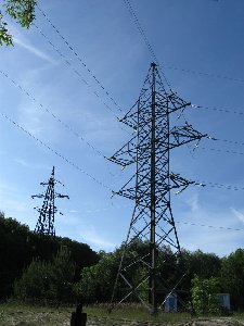 IMG_2537.JPG