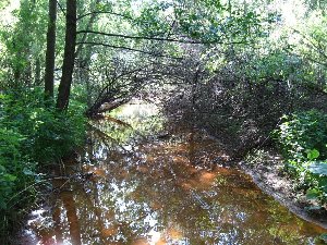 IMG_2543.JPG