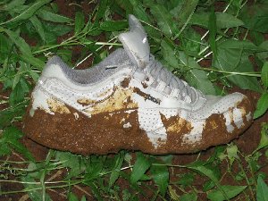 IMG_2548.JPG