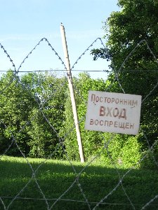 IMG_2560.JPG