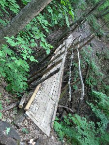 IMG_2570.JPG