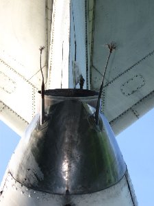 IMG_2584.JPG