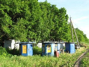 IMG_2590.JPG