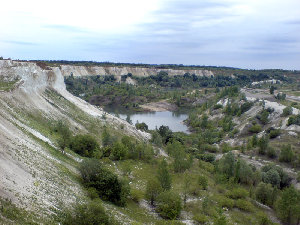 DSC01405.JPG