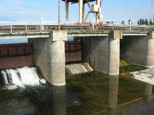 DSCN4901.JPG