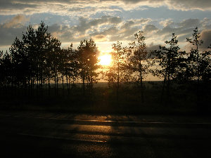 DSCN4951.JPG