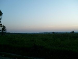 S7301351.jpg