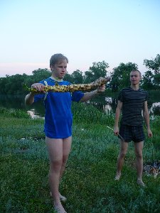 А вот и мега щупальца которая на нас напала)
