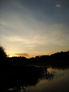 DSC02716.jpg
