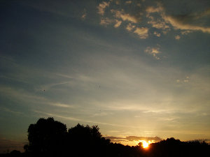 DSC02726.jpg