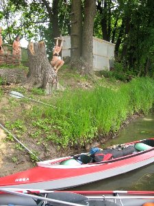 IMG_7225.jpg