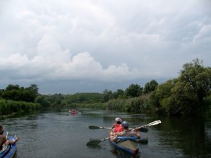 IMG_7253.jpg