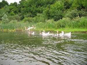 IMG_7255.jpg