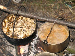 Комплексный обед по феншую