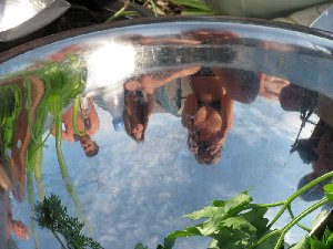 IMG_0281.jpg