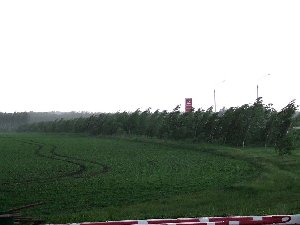 DSCF7089 копия.jpg