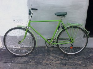 IMAG0220.jpg